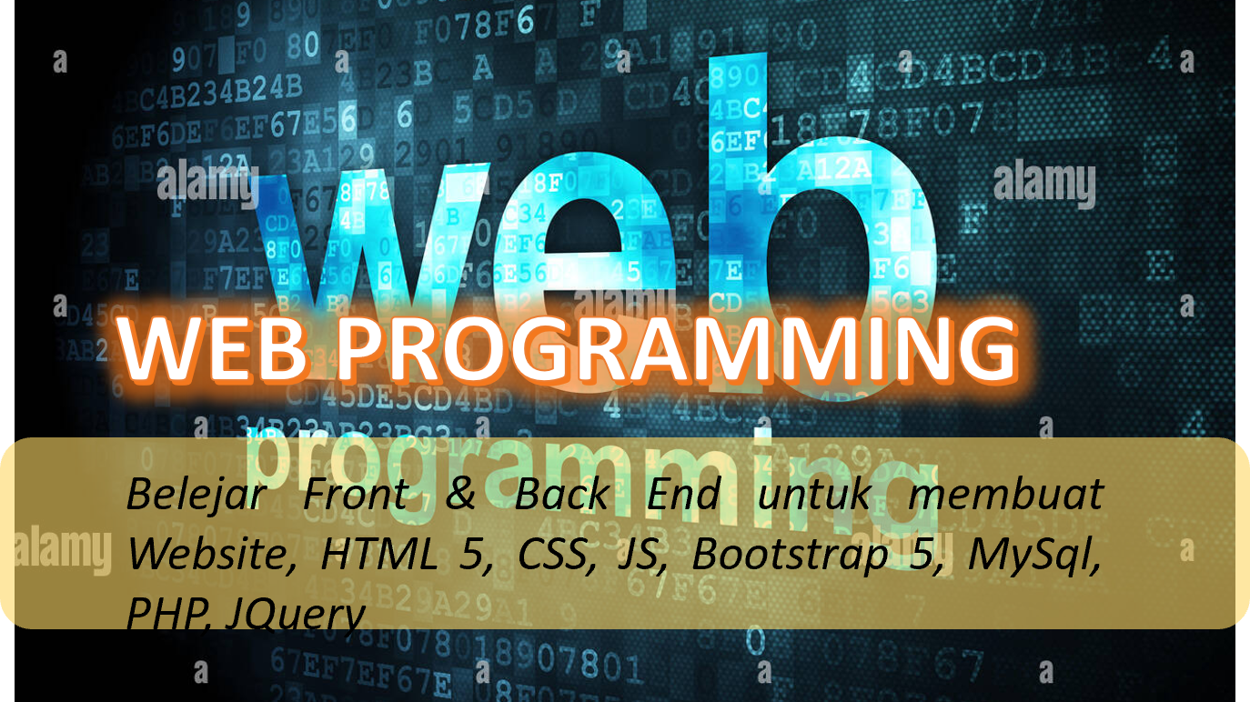 Website Programming